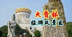 红梅插逼视频中国浙江-绍兴大香林旅游风景区